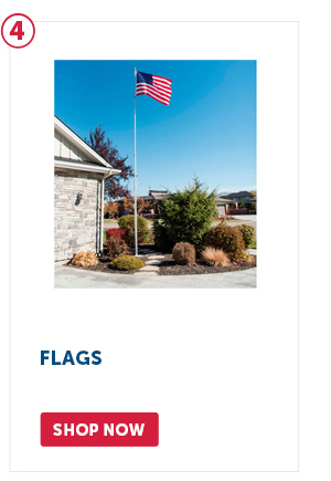 Pro_Cta_Flags - Shop Now