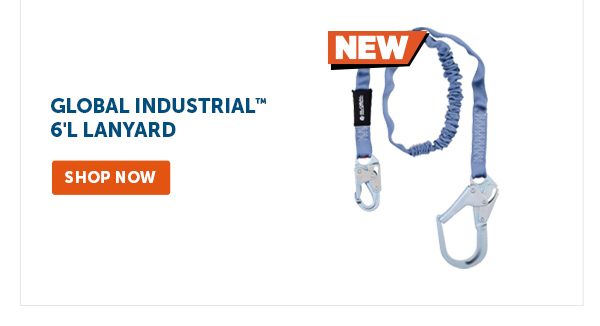 Pro_Cta_Global Industrial 6'L Lanyard - Shop Now