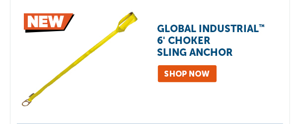 Pro_Cta_Global Industrial 6' Choker Sling Anchor - Shop Now