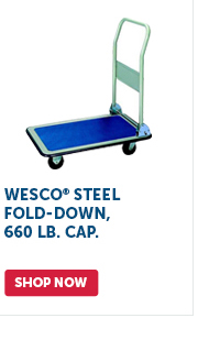 Pro_Cta_Wesco Steel Fold-down, 660 lb. Cap. - Shop Now