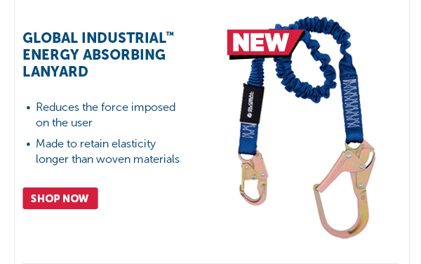 Pro_Cta_Global Industrial Energy Absorbing Lanyard - Shop Now