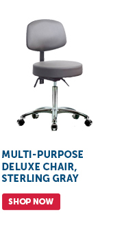 Pro_Cta_Multi-Purpose Deluxe Chair, Sterling Gray - Shop Now