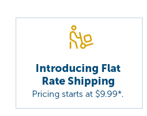 Cta_Introducing Flat Rate Shipping