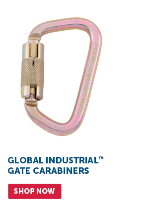 Pro_Cta_Global Industrial Gate Carabiners - Shop Now