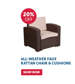 Pro_Cta_All-Weather Faux Rattan Chair & Cushions - Shop Now