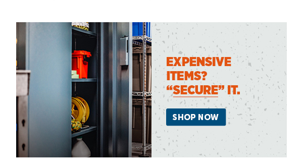 Pro_Cta_Expensive items? "SECURE" IT. - Shop Now