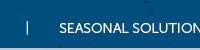 Seasonal Solutions