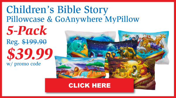 2 GoAnywhere Pillows & 2 GoAnywhere Pillowcases