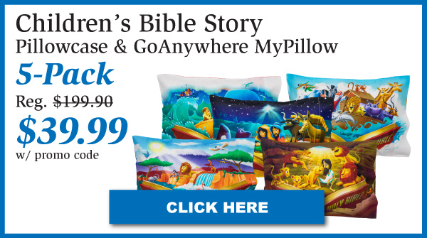 https://mediacdn.espssl.com/9804/Shared/Jeremy/Bible%20Products/Bible%205-Pack/blue-bible-pillow-5pk-39.jpg