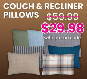 Couch & Recliner Pillows $29.98 With Promo Code