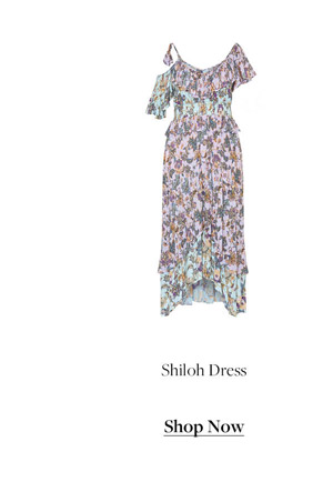 Shop Shiloh Dress