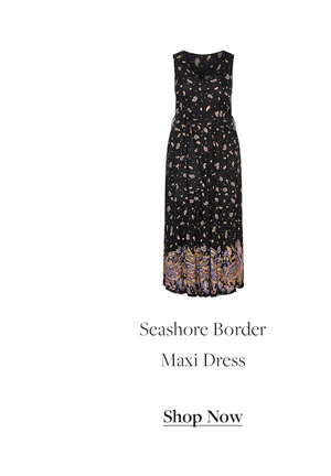Shop Seashore Border Maxi Dress