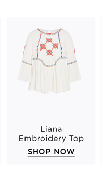 Shop The Liana Embroidery Top