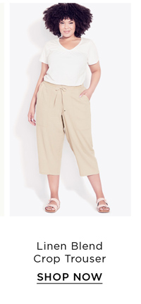 Shop The Linen Blend Crop Trouser