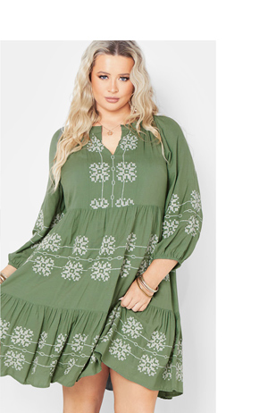 Shop The Lady Luxe Embroidered Dress