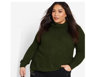 Shop the Roll Neck Sweater