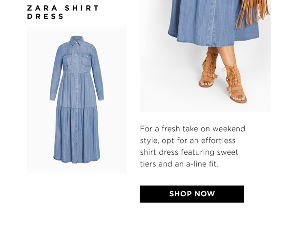 Shop the Zara Shirt Dress