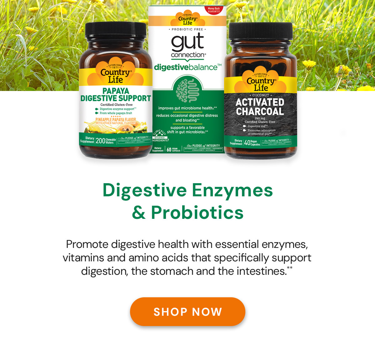 Digestive Enzymes & Probiotics