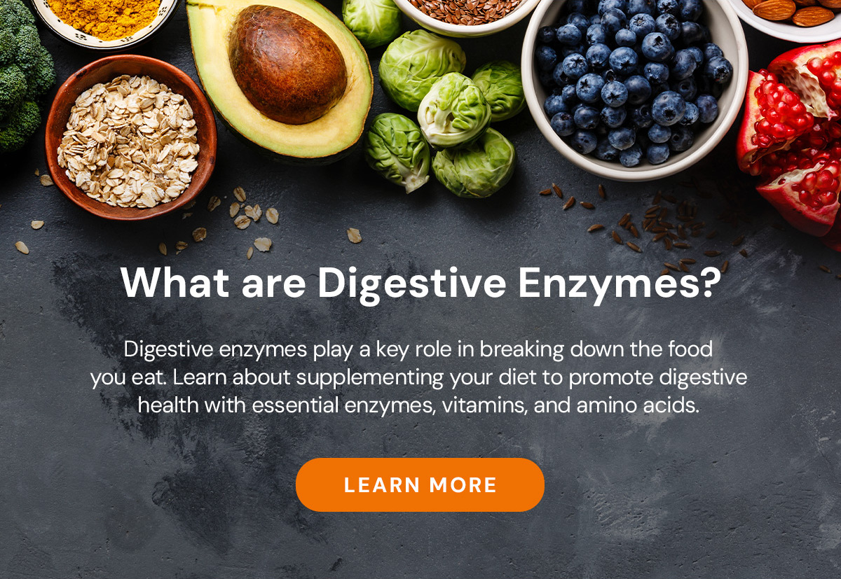 What are Digestive Enzymes?