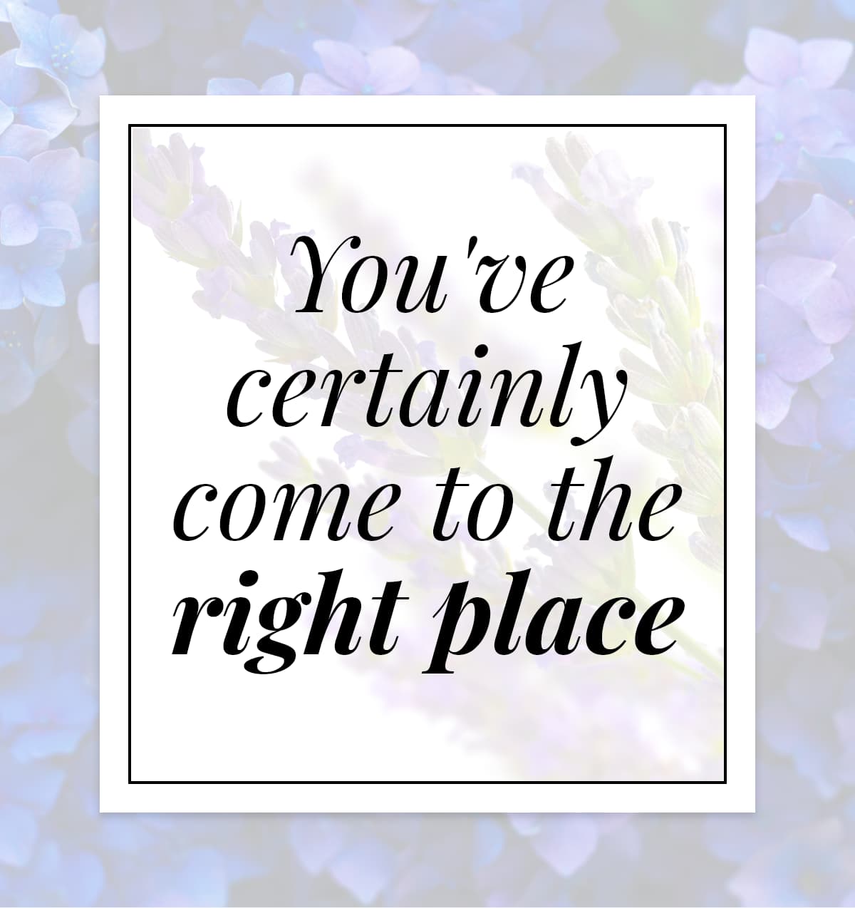 You have come to the right place