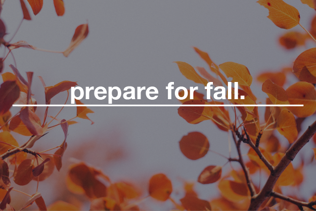 Prepare for fall