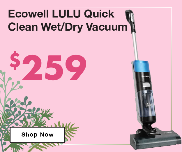 Ecowell LULU Quick Clean Wet/Dry Vacuum now only $259.
