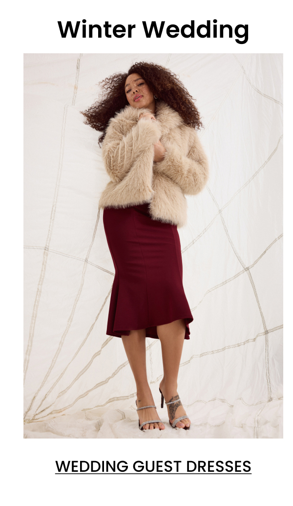 Winter Wedding. Wedding Guest Dresses