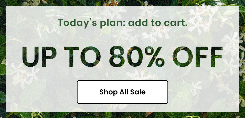 Up to 80 percent off. The plan. Add to cart. Shop All Sale. Markdowns Banner.