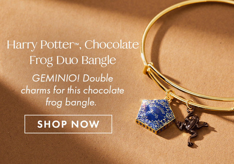 Harry Potter Chocolate Frog Two-Charm Bangle | Shop Now