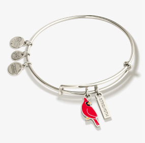 'Strength' Cardinal Duo Charm Bangle Bracelet | Shop Now