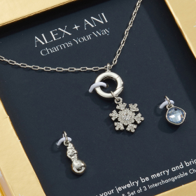 Winter Interchangeable Charm Necklace Gift Set | Shop Now