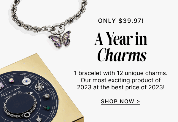 A Year in Charms |Shop Now - Only $39.97