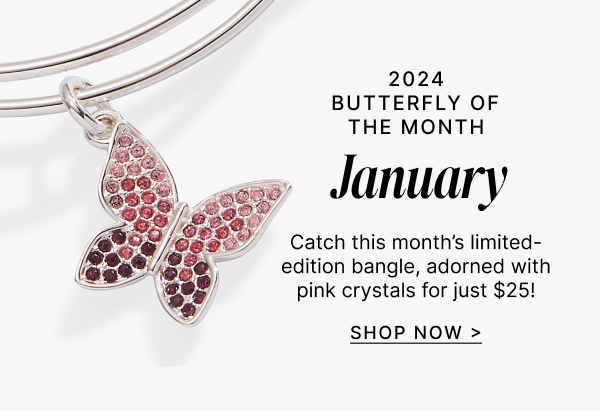 January Butterfly of the Month | Shop Now