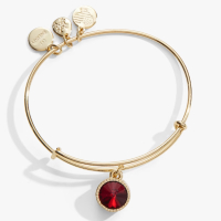 January Birthstone Charm Bangle, Scarlet | Shop Now