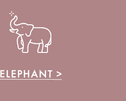 Shop Elephant Jewelry | ALEX AND ANI