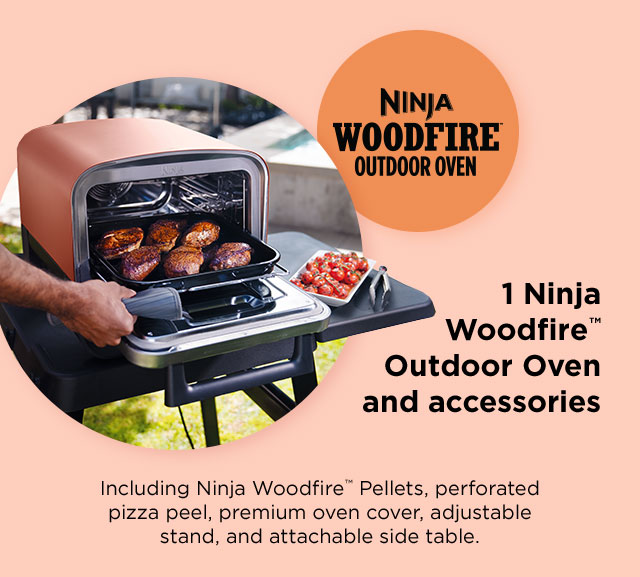 Ninja Woodfire Outdoor Grill 101