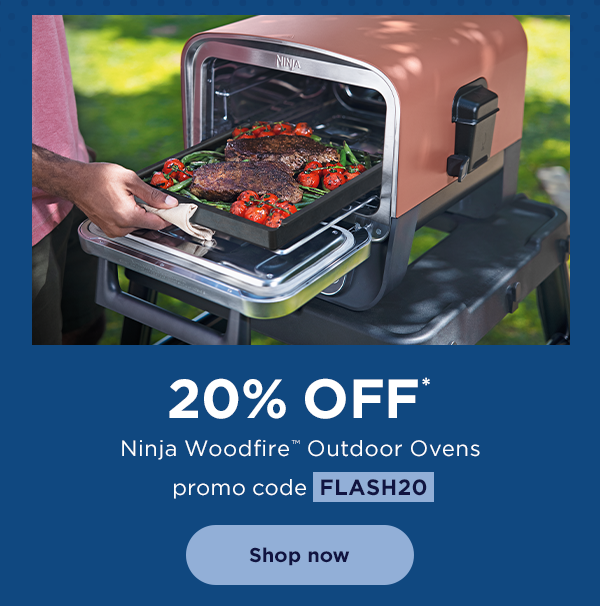 20% off* Ninja Woodfire™ Outdoor Ovens with promo code FLASH20