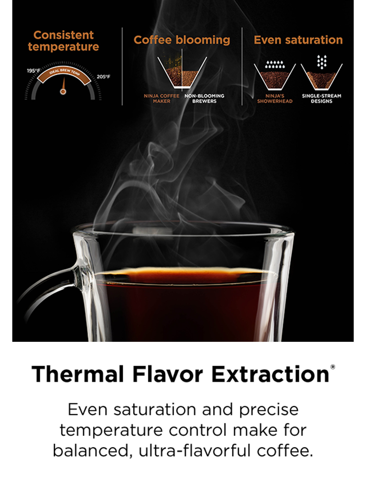 Thermal Flavor Extraction®. Even saturation and precise temperature control make for balanced, ultra-flavorful coffee.