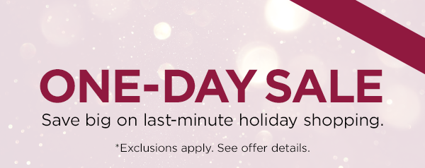 Order by 3 PM ET on 12/17 to get it by 12/25 with standard shipping.