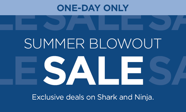 One day only--Summer Blowout Flash Sale