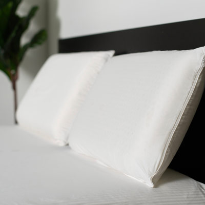 Protect-A-Bed Surefit Cotton Cover Latex Pillow, Standard