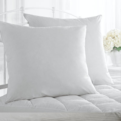 Live Comfortably 233 Thread Count 100% Cotton Down Alternative Euro Pillow - 2 Pack, 26" x 26"