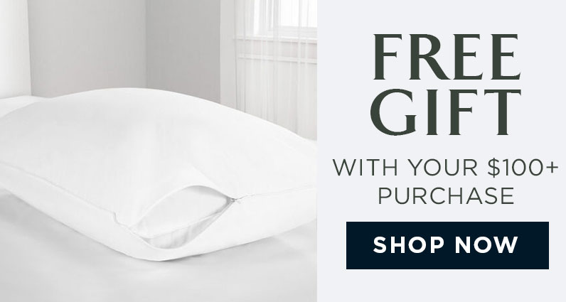 FREE GIFT WITH YOUR $100 PURCHASE 
