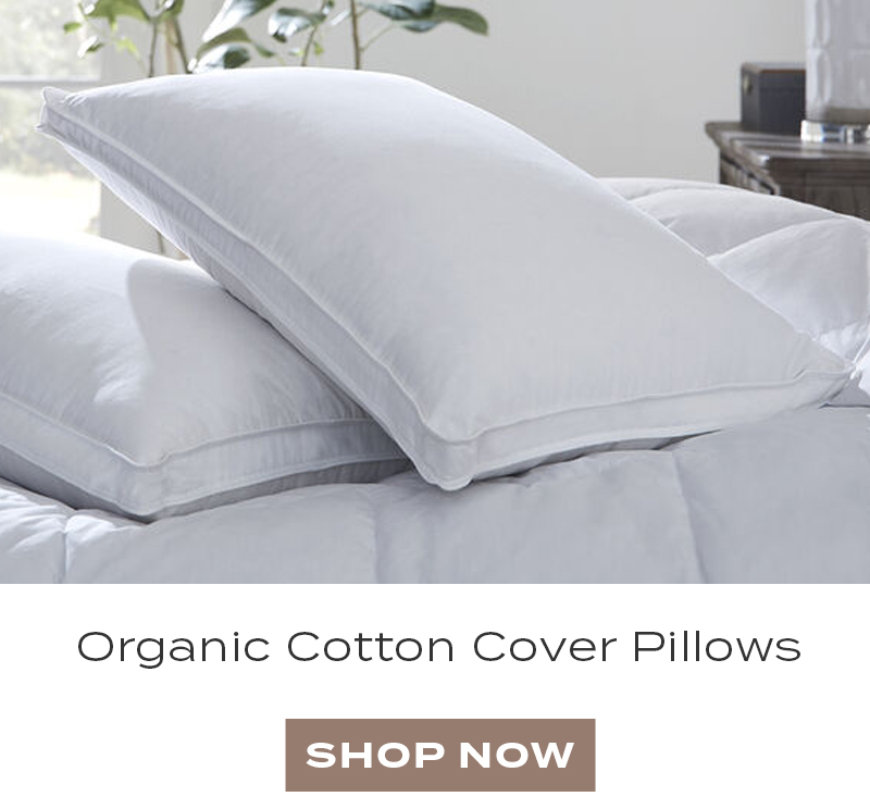 organic cotton pillows