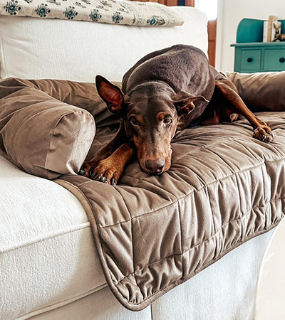 15% OFF BOLSTER PET BEDS