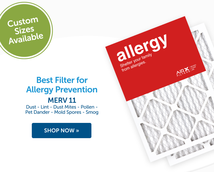 Best filter for allergy prevention shop AIRx Allergy MERV 11 Air Filter