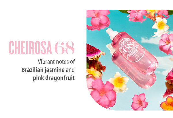 Passport to Paradise Perfume Set | Online Exclusive