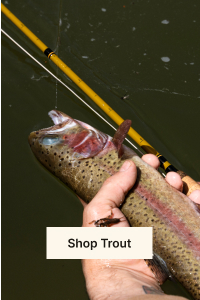 Shop Trout