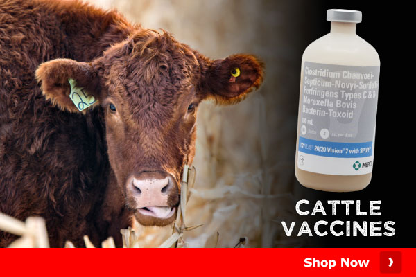  CATTLE VACCINES Shop Now 