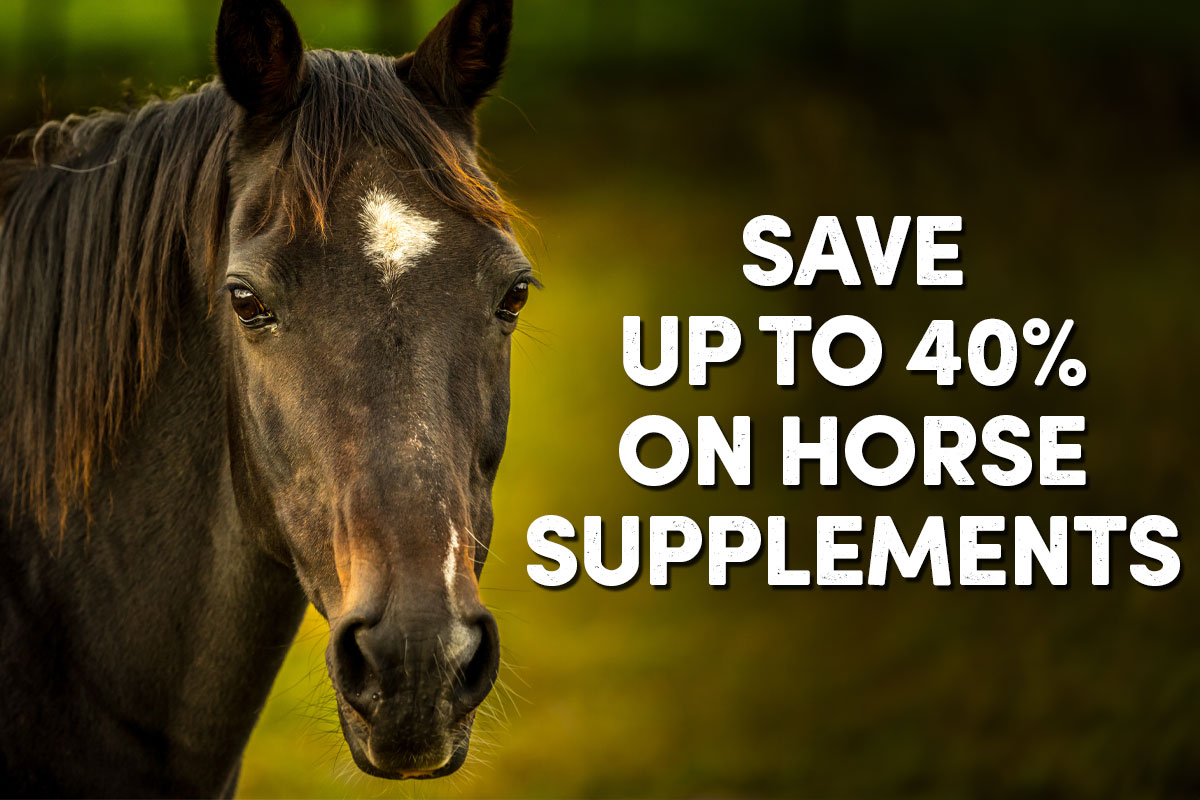 Save up to 40% on Horse Supplements - Shop Now